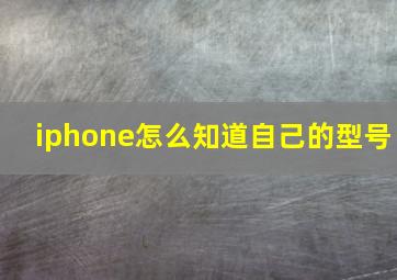 iphone怎么知道自己的型号