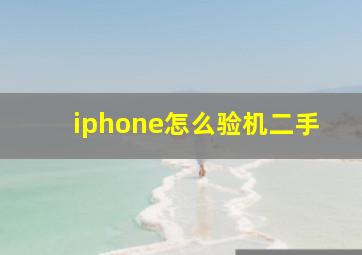 iphone怎么验机二手