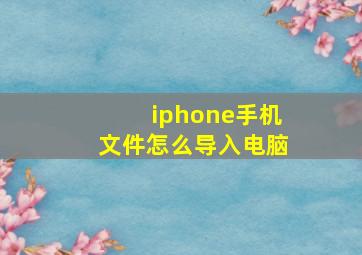 iphone手机文件怎么导入电脑