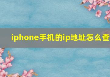 iphone手机的ip地址怎么查