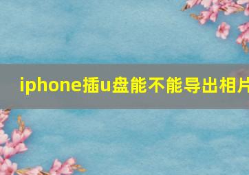 iphone插u盘能不能导出相片