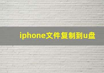 iphone文件复制到u盘