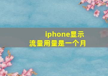 iphone显示流量用量是一个月