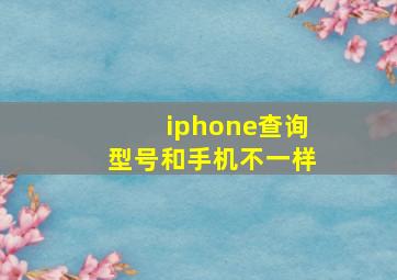 iphone查询型号和手机不一样