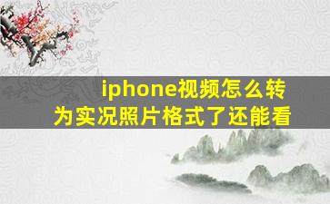 iphone视频怎么转为实况照片格式了还能看