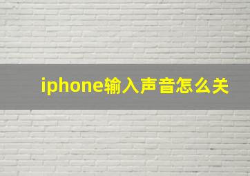 iphone输入声音怎么关