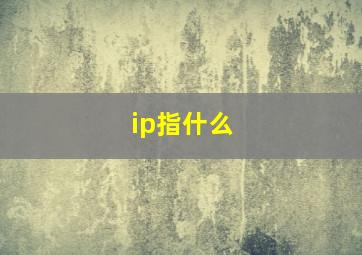 ip指什么