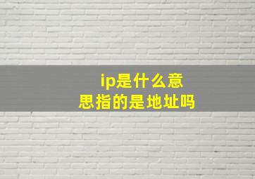 ip是什么意思指的是地址吗