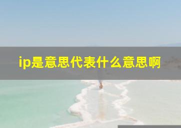 ip是意思代表什么意思啊