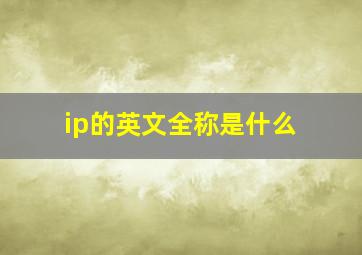 ip的英文全称是什么