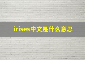 irises中文是什么意思