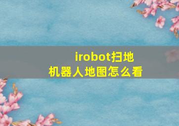 irobot扫地机器人地图怎么看