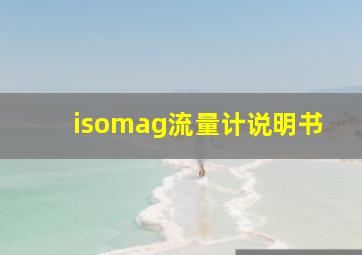 isomag流量计说明书