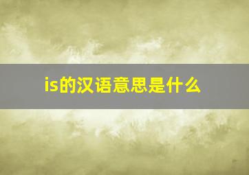 is的汉语意思是什么