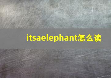 itsaelephant怎么读