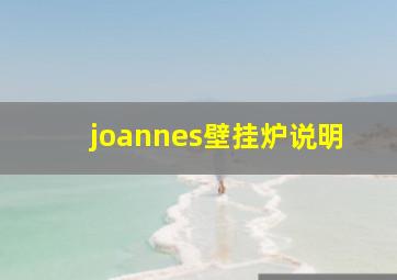 joannes壁挂炉说明