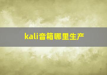 kali音箱哪里生产