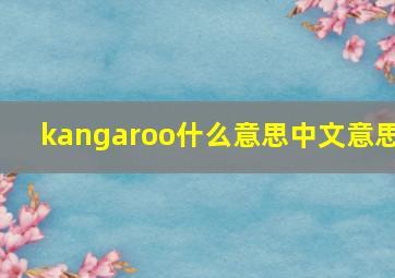 kangaroo什么意思中文意思