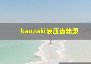 kanzaki液压齿轮泵