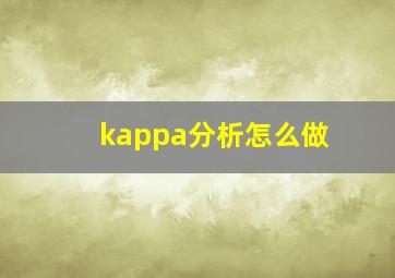 kappa分析怎么做