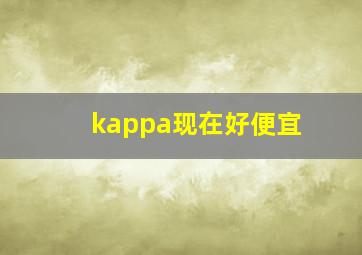 kappa现在好便宜