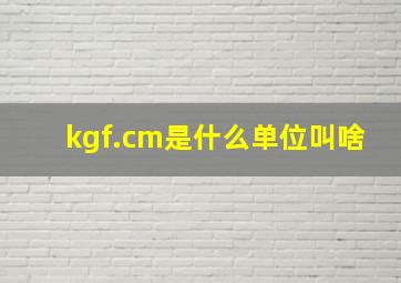 kgf.cm是什么单位叫啥