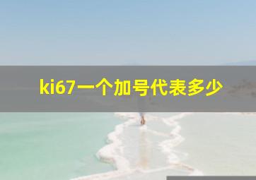 ki67一个加号代表多少