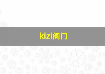 kizi阀门