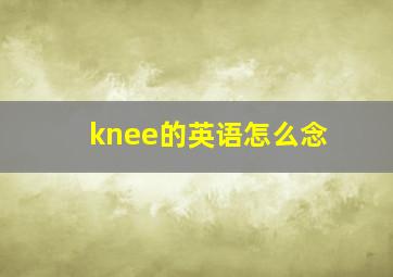 knee的英语怎么念