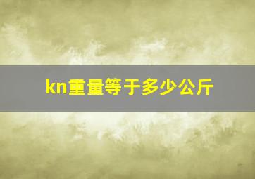 kn重量等于多少公斤