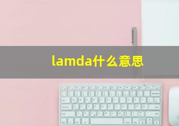 lamda什么意思