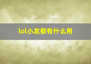 lol小龙都有什么用