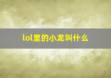 lol里的小龙叫什么