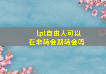 lpl自由人可以在非转会期转会吗