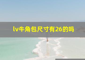 lv牛角包尺寸有26的吗