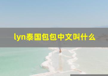 lyn泰国包包中文叫什么