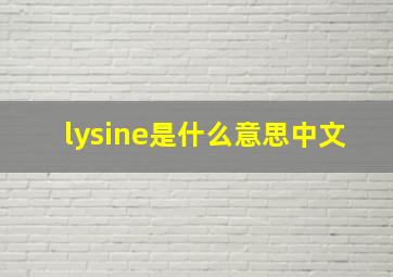 lysine是什么意思中文