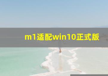 m1适配win10正式版