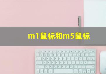 m1鼠标和m5鼠标