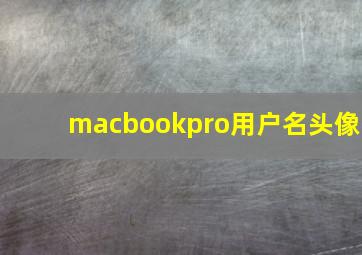 macbookpro用户名头像