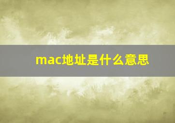 mac地址是什么意思