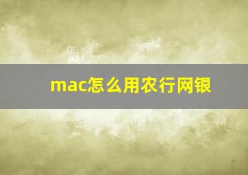 mac怎么用农行网银