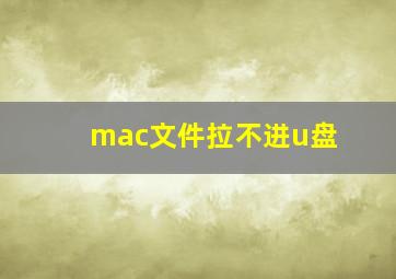 mac文件拉不进u盘