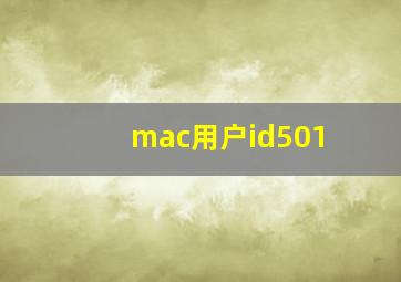 mac用户id501