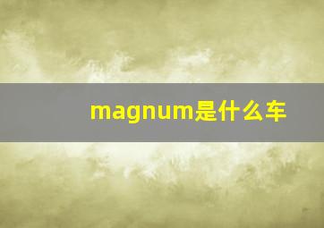 magnum是什么车