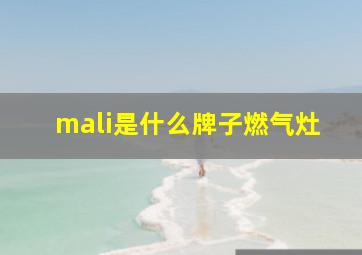 mali是什么牌子燃气灶