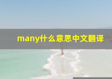 many什么意思中文翻译