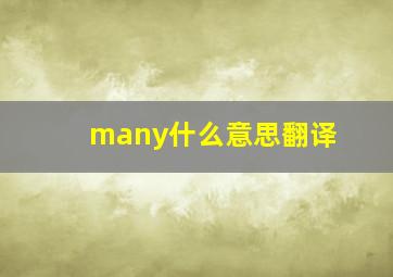 many什么意思翻译