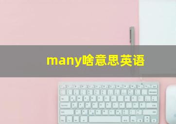 many啥意思英语