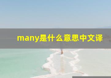 many是什么意思中文译